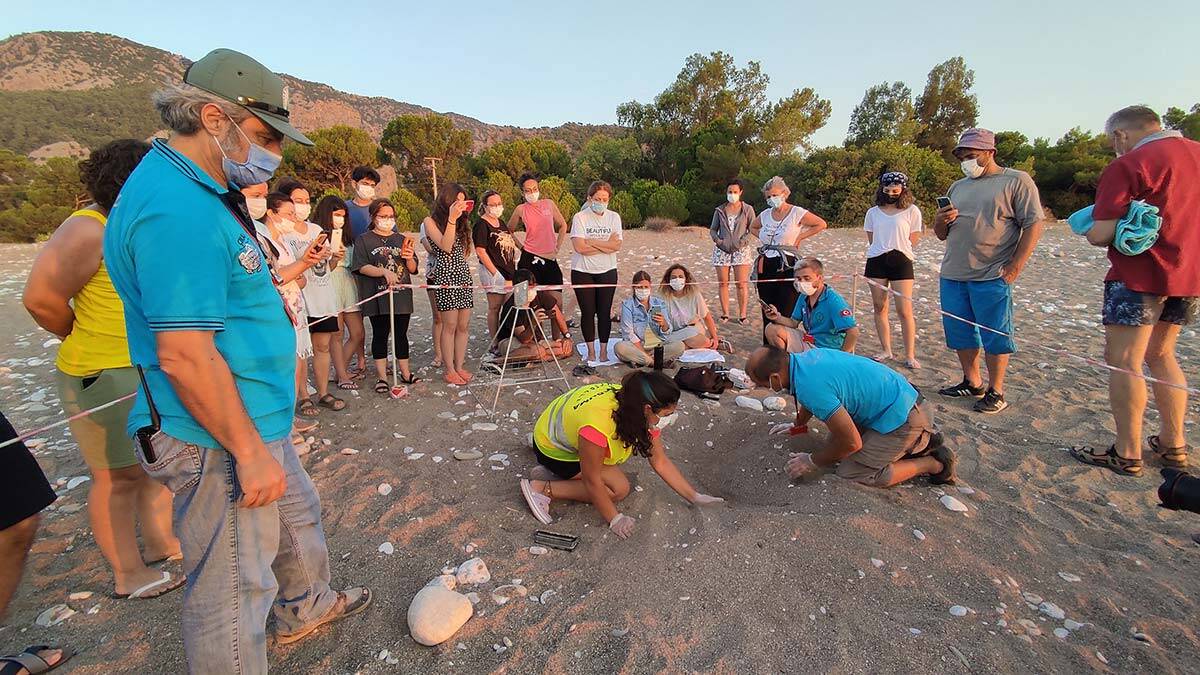 Caretta caretta yavruları denizle buluştu