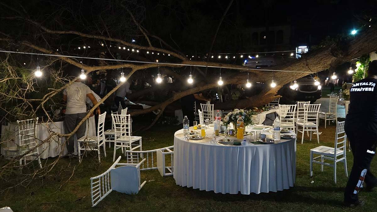 Kır düğününde ağaç devrildi; 10 yaralı