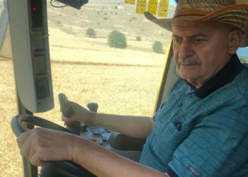 Binali Yıldırım biçerdöverle hasat yaptı