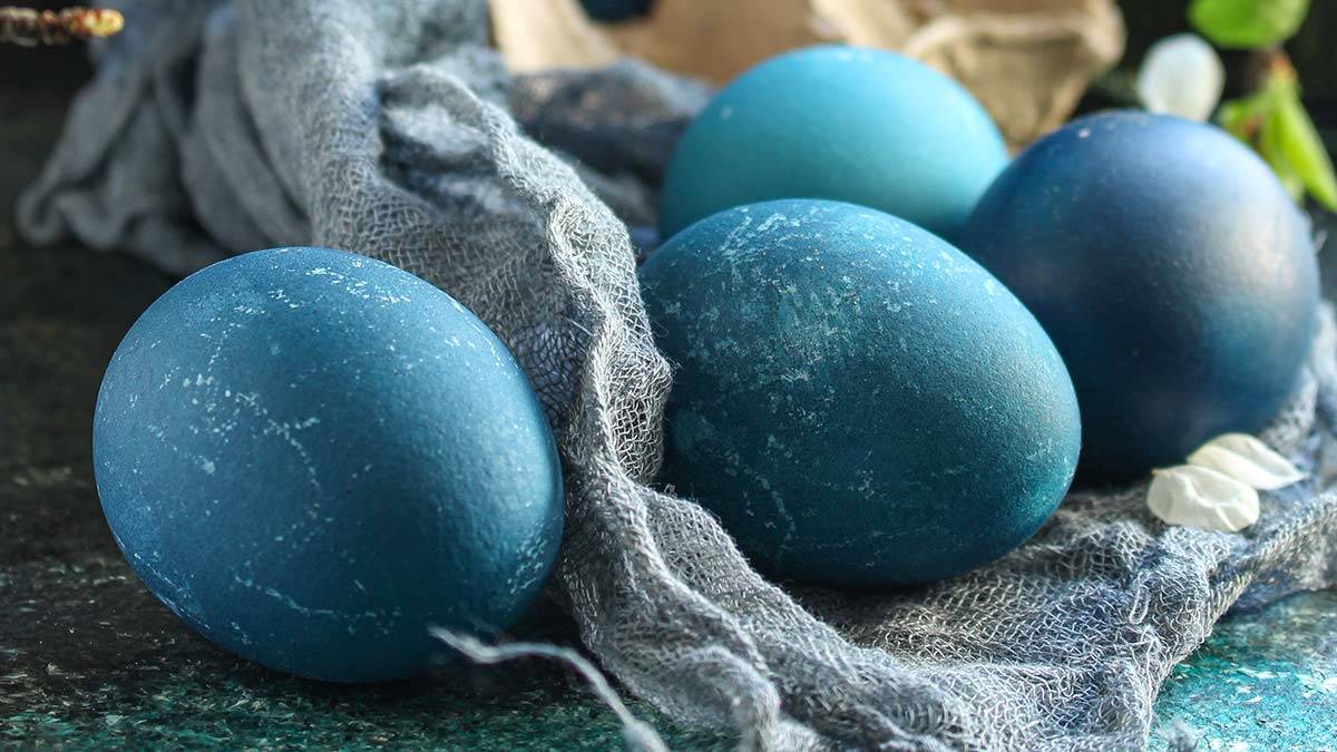 Mavi yumurta zeka gelişimi için çok faydalı