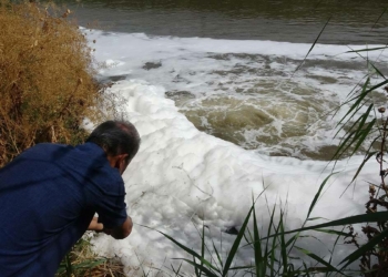 Menderes'te artık balık yaşamıyor