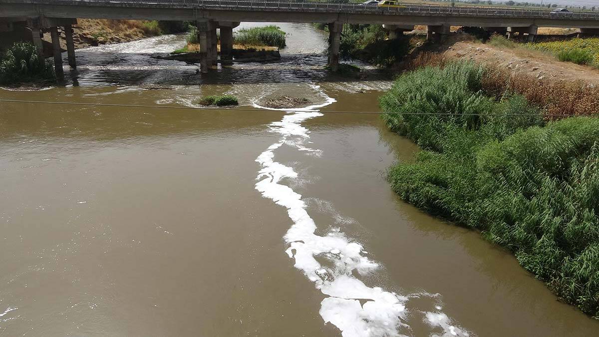 Menderes'te artık balık yaşamıyor