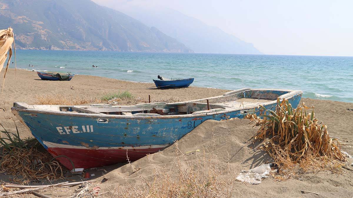 Kum zambakları çiçek açmaya başladı