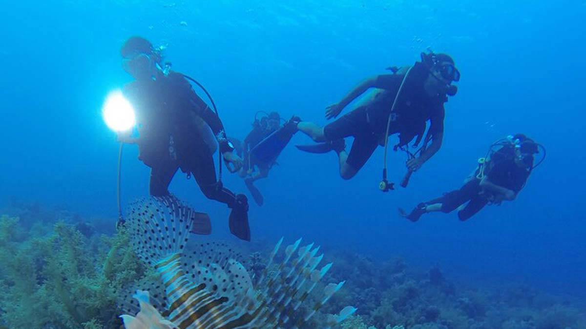 Doğal cennet Kekova dalış tutkunlarının yeri oldu