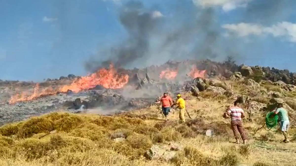 Dikili'de makilik alanda yangın