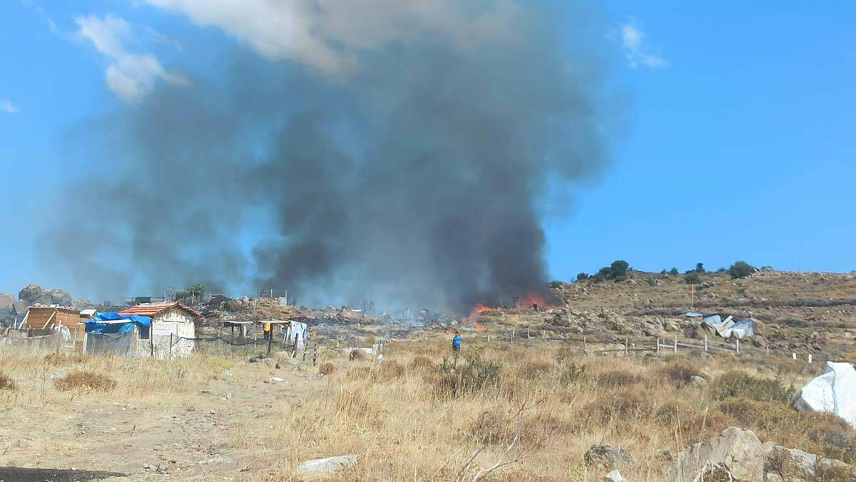 Dikili'de makilik alanda yangın