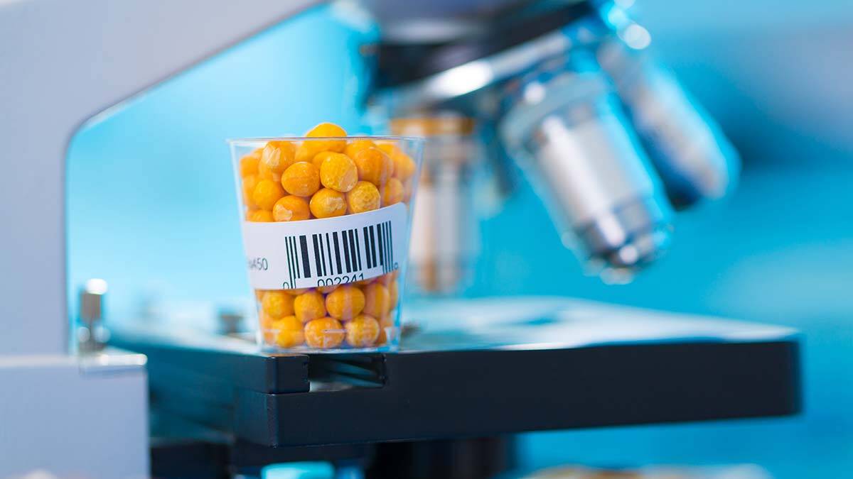 DNA Barkodlama ile bitkilere kimlik veriliyor