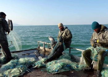 İnci kefalinde av yasağı sona erdi