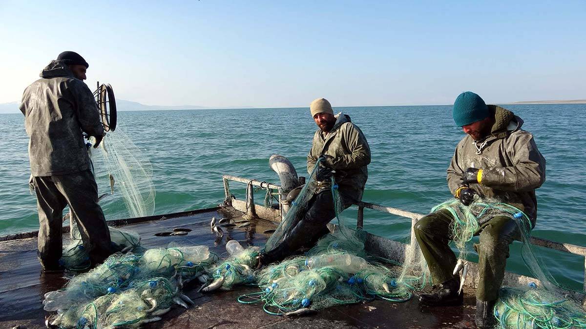 İnci kefalinde av yasağı sona erdi