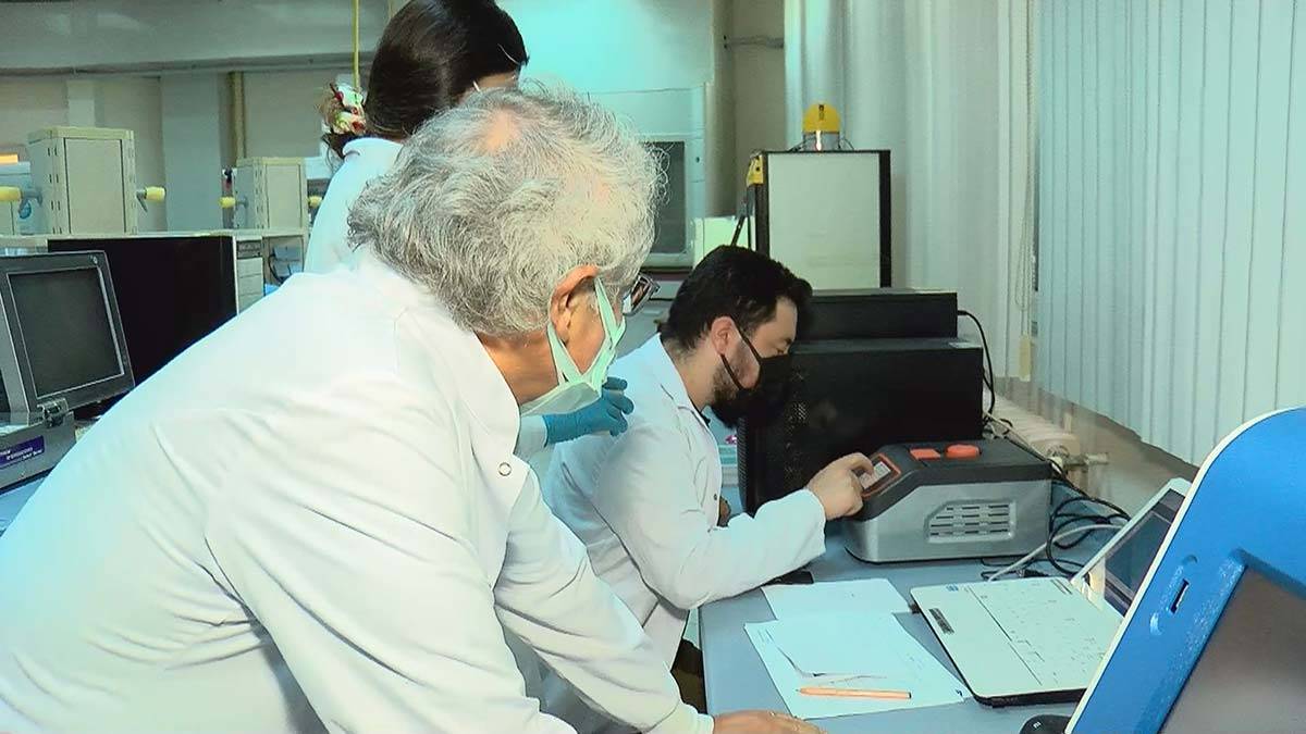 İstanbul'da Asya Kaplan Sivrisineği tehlikesi