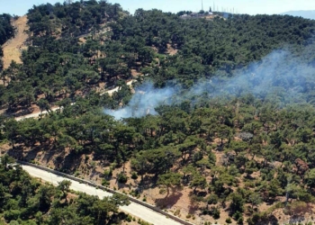 İzmir'de ormanlık alanda yangın