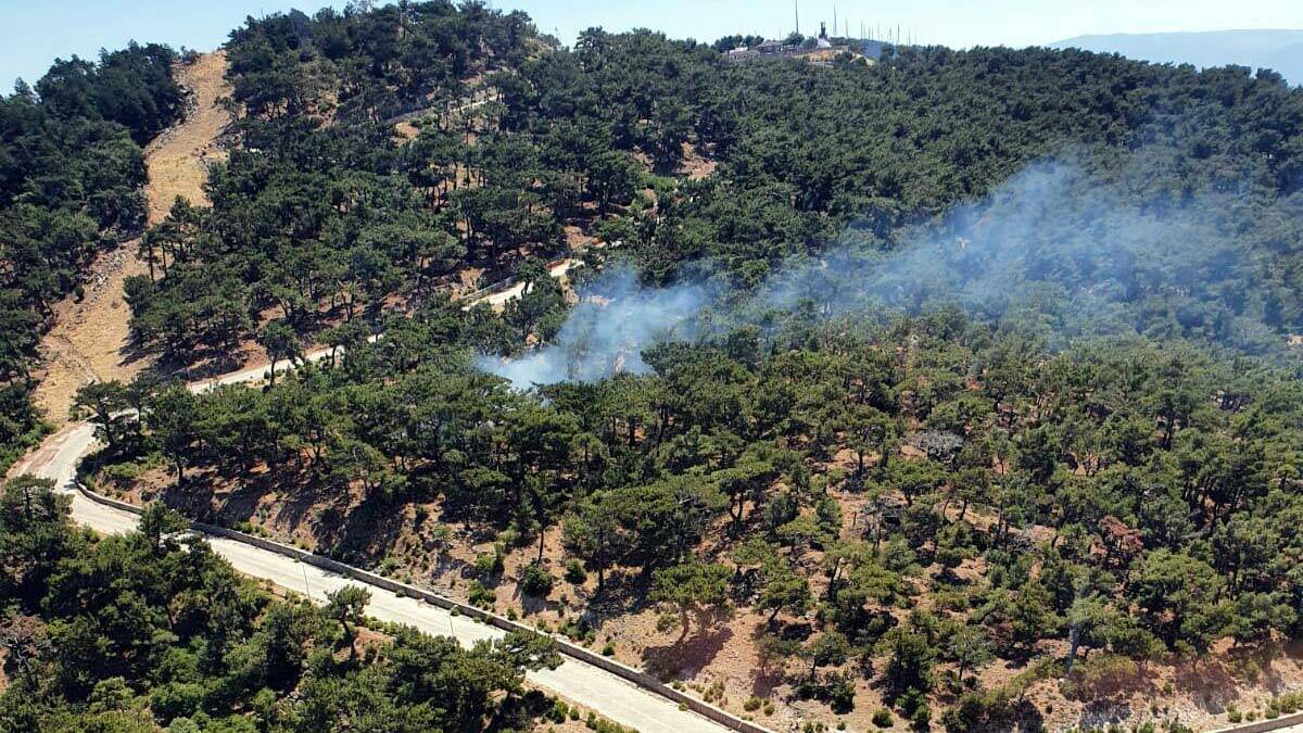 İzmir'de ormanlık alanda yangın