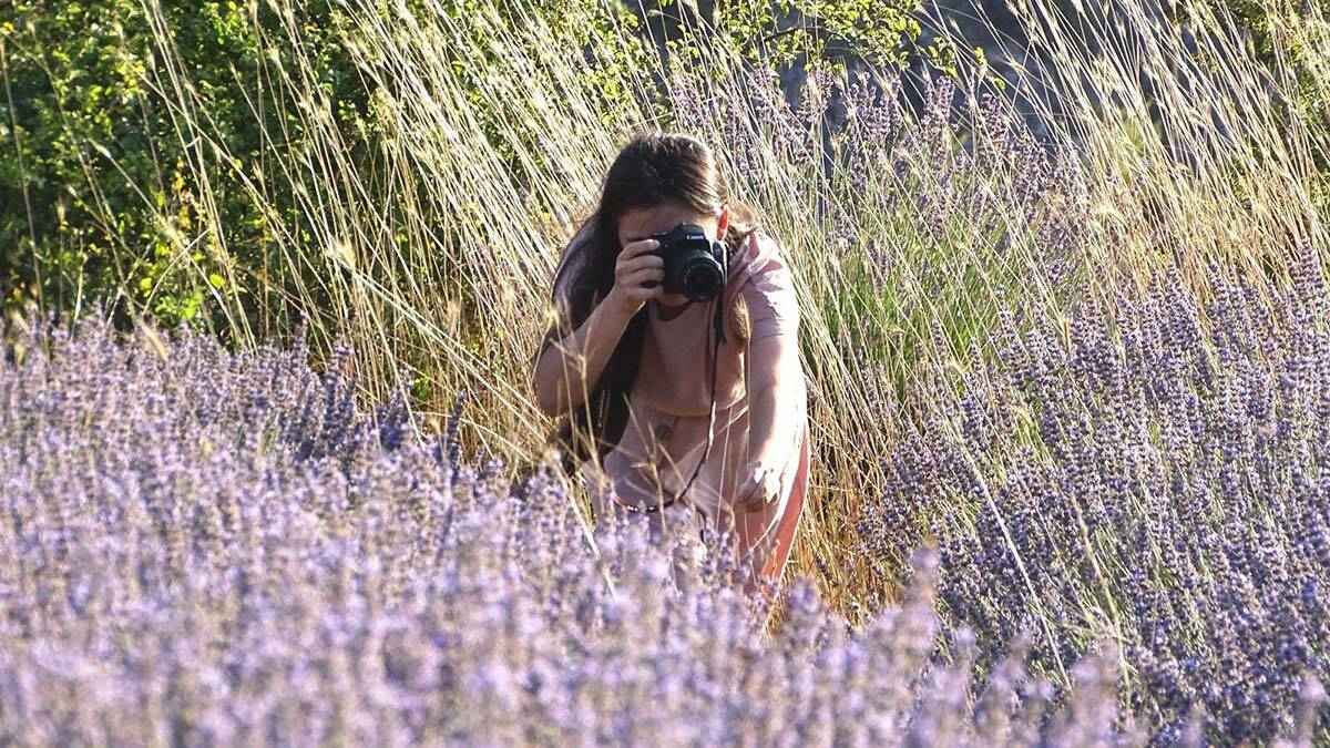 Köydeki lavanta tarlası fotoğraf stüdyosuna döndü