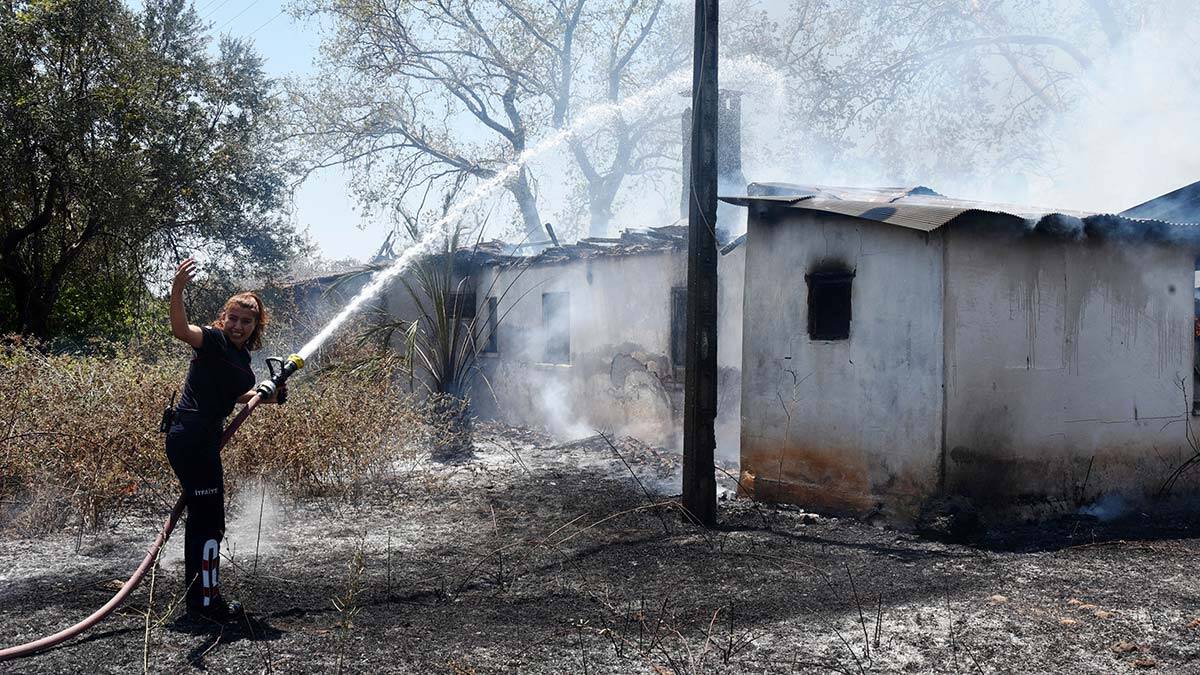 Zeytinpark'ta çıkan yangında ağaçlar zarar gördü