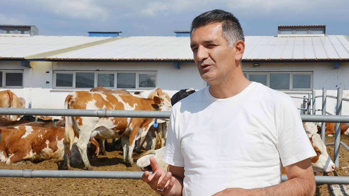 Kuraklık hayvanlardaki verimi düşüyor