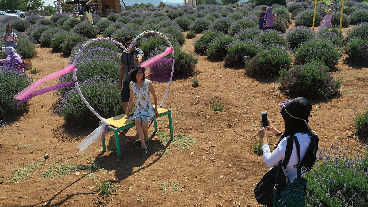 Lavanta kokulu köyde, ziyaretçi hareketliliği