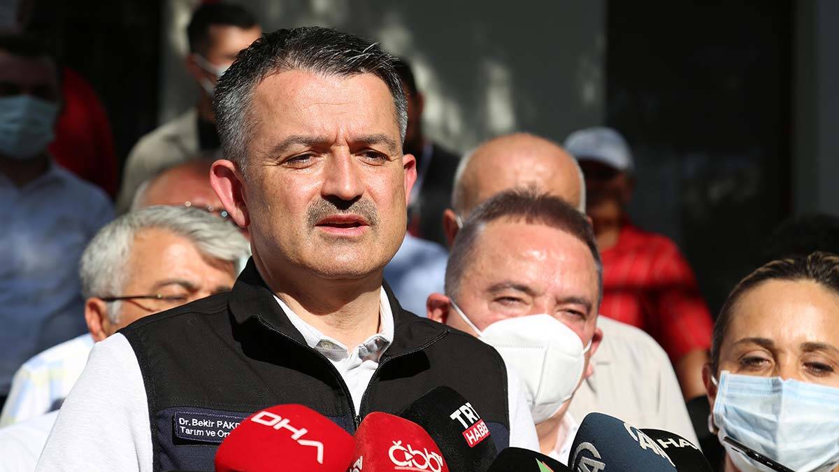 Yangından 53 vatandaşımız etkilendi