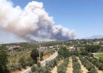 Antalya Manavgat'ta orman yangını