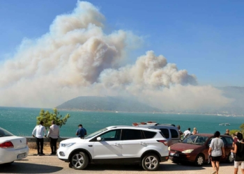 Mersin Aydıncık'ta orman yangını ikinci gününde