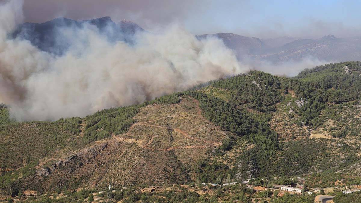Mersin Aydıncık'ta orman yangını ikinci gününde 