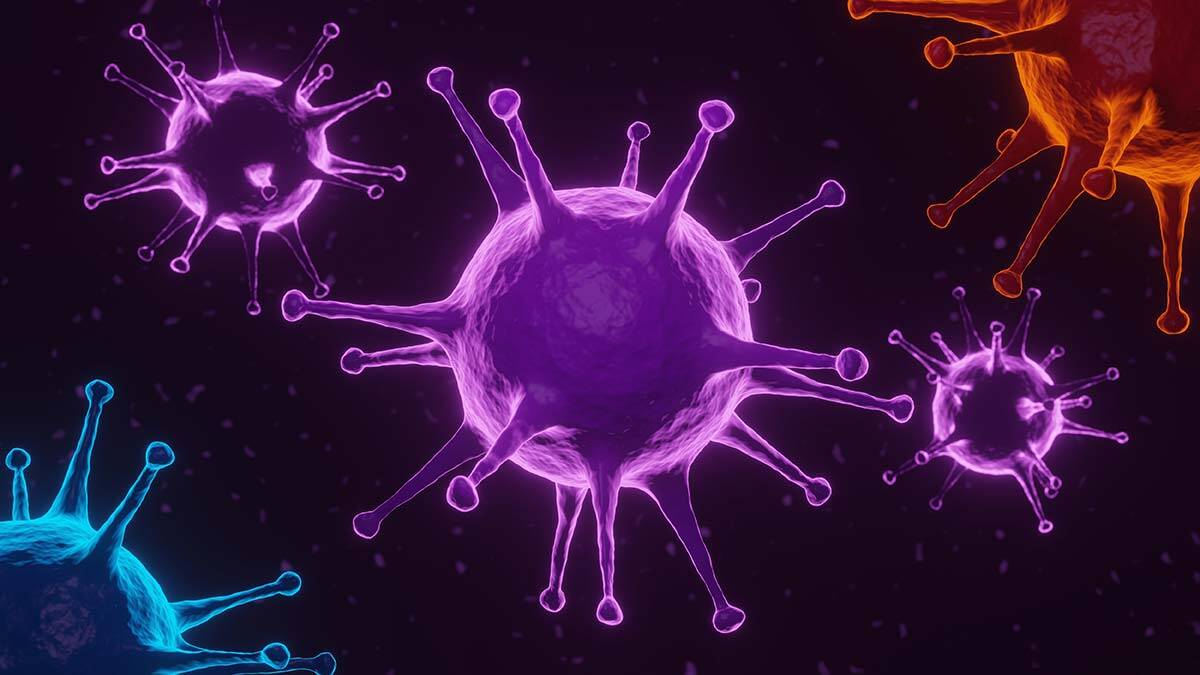 Yerli VLP aşısı varyantlara karşı dizayn edilebilir