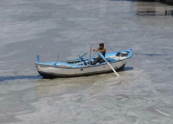 Marmara'da 9 bin 959 metreküp müsilajı temizledik