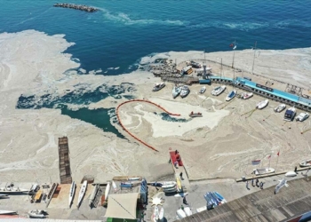 Marmara'mız artık temiz ve mavi