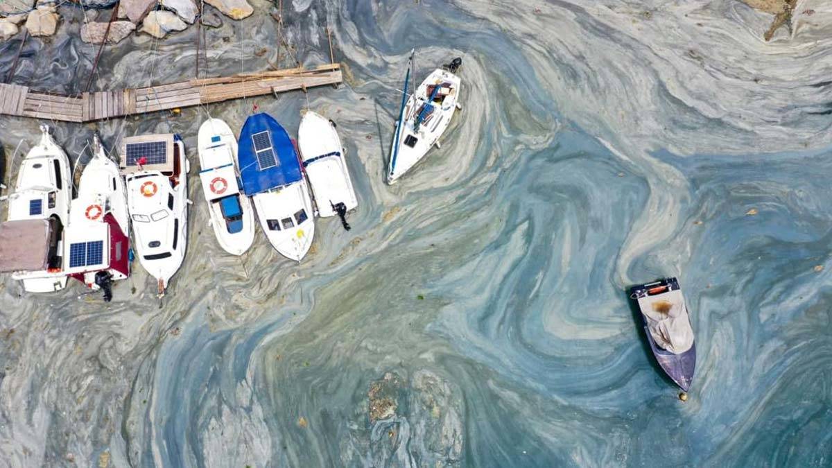 Marmara bize değil, biz Marmara'ya muhtacız