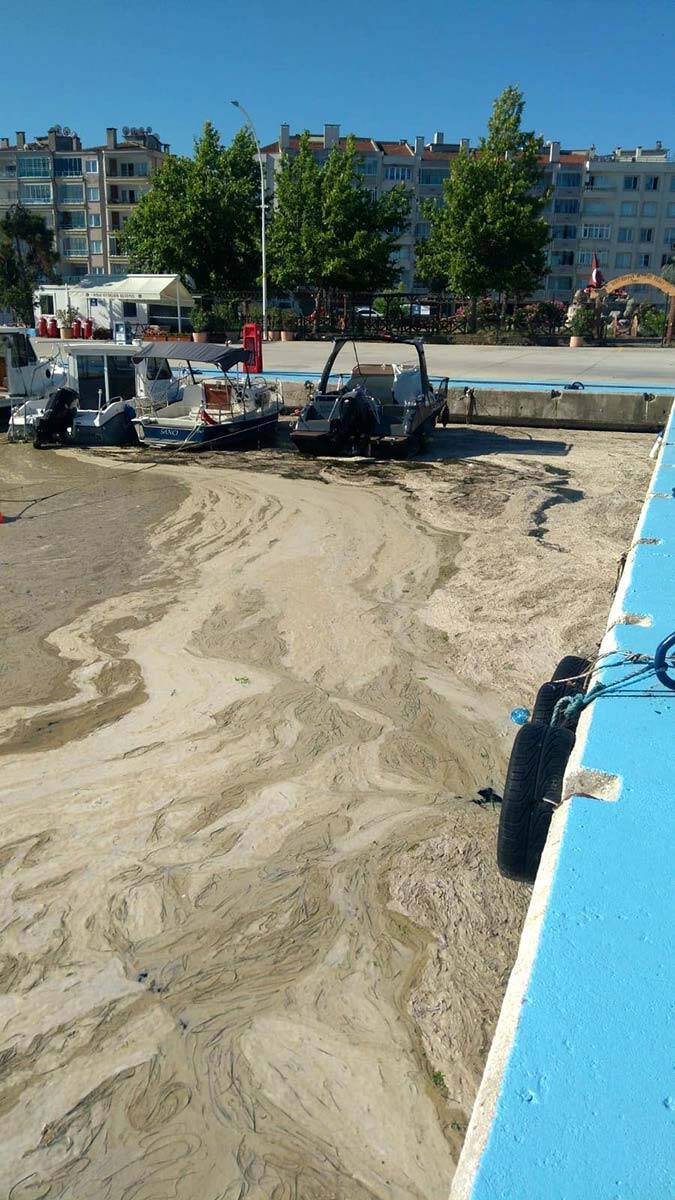 Müsilaj nedeni fosfora karşı deterjan kullanımı azaltılacak