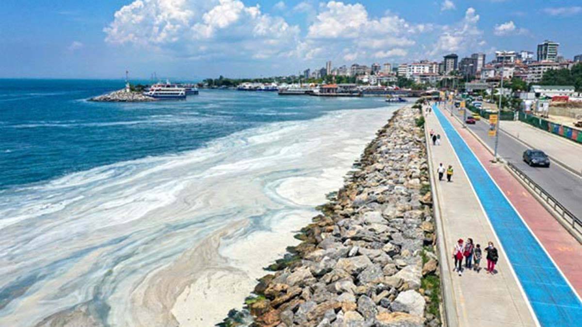 Müsilaj nedeni fosfora karşı deterjan kullanımı azaltılacak