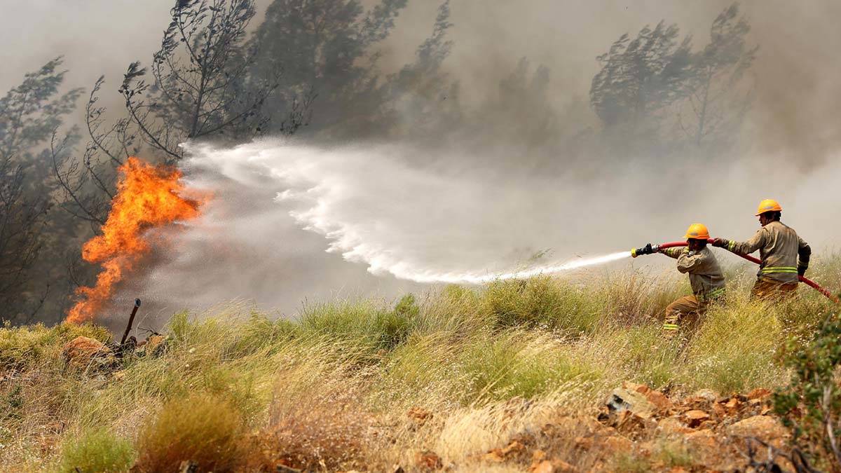 Orman içinde mangal yakmayın