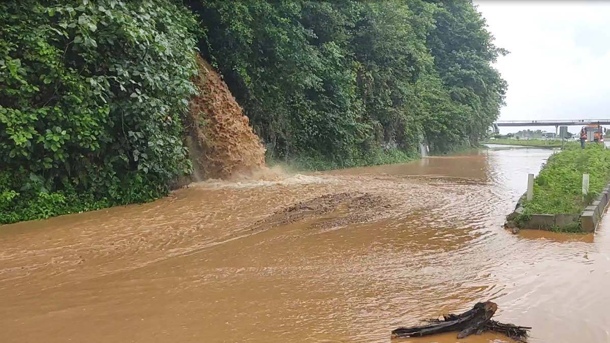 Rize ve Artvin'de yağış başladı