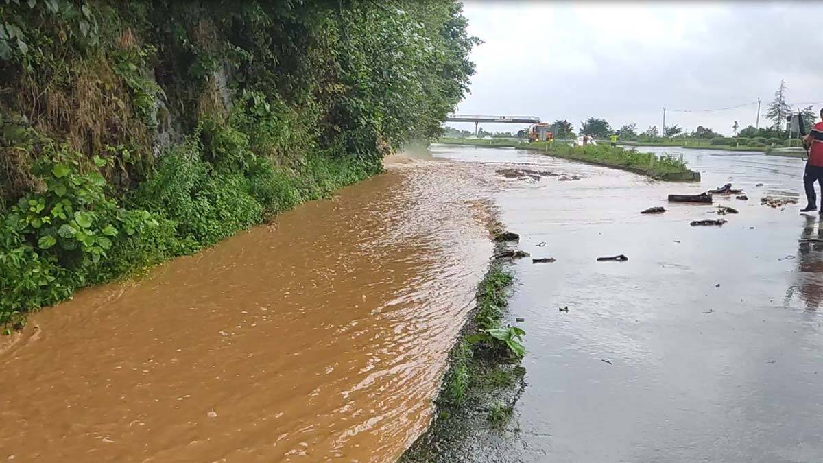 Rize ve Artvin'de yağış başladı