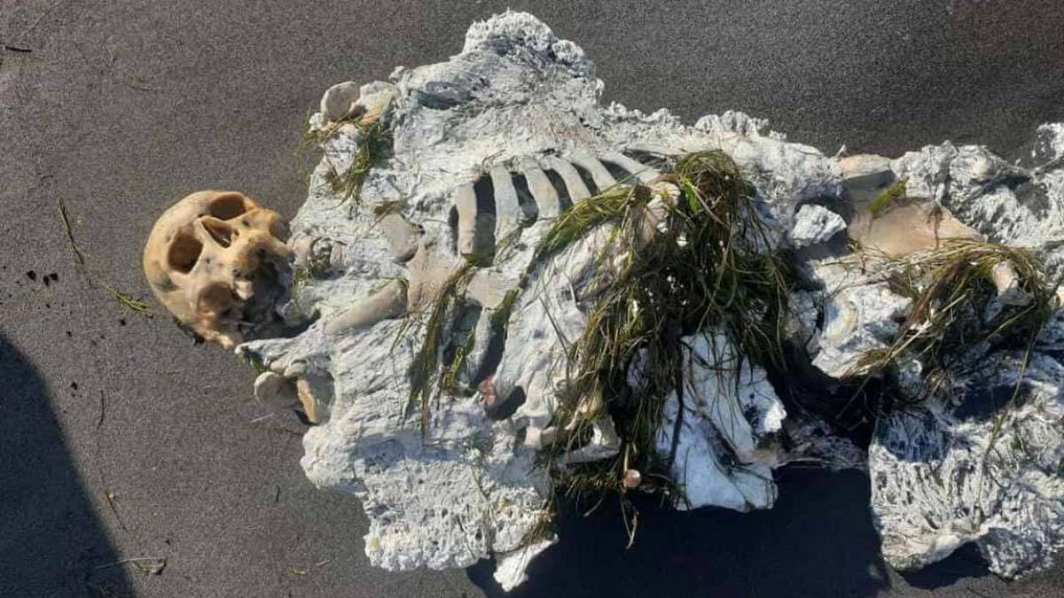 Samsun'da kıyıya vuran iskelete inceleme