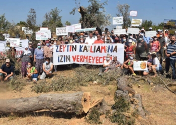 Seferihisar'da JES için ağaç kesimi tepkisi