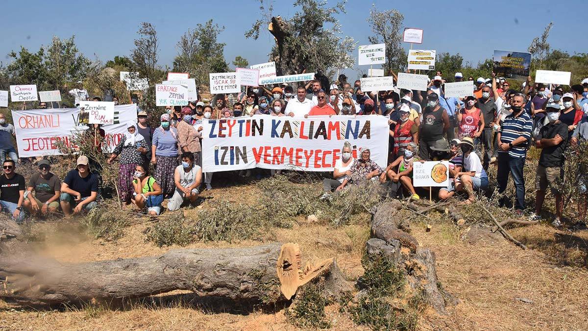 Seferihisar'da JES için ağaç kesimi tepkisi