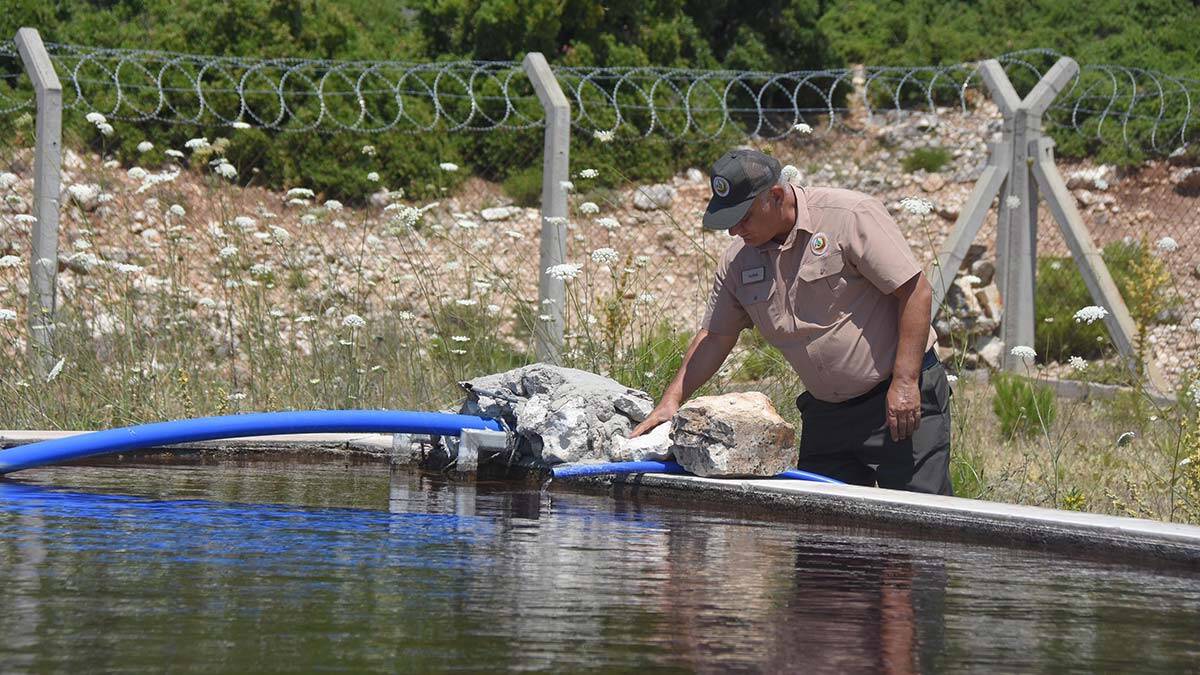 İzmir Orman Bölge Müdürlüğü bünyesindeki 268 yangın söndürme havuzu sayesinde alevlere daha kısa sürede müdahale ediliyor.