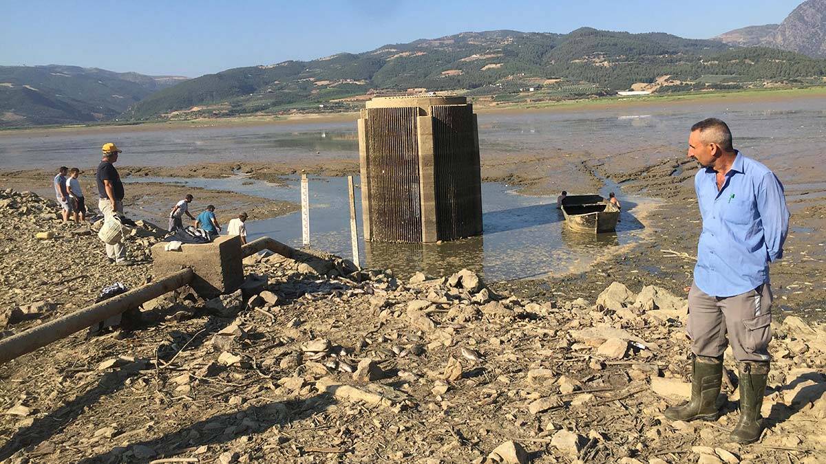 Barajdan balık ölülerini sepetlerle topladılar