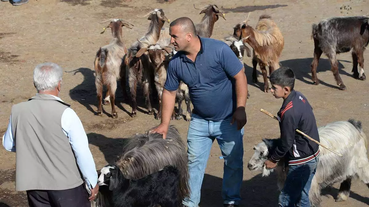 Kurbanlık alacaklara önemli uyarılar