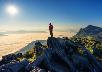 Ağlayan gelin çiçeği