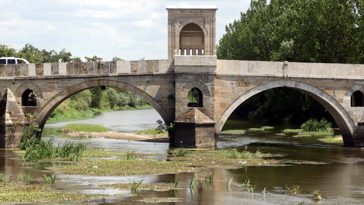 Nehir debileri düştü Tunca'yı yosunlar kapladı