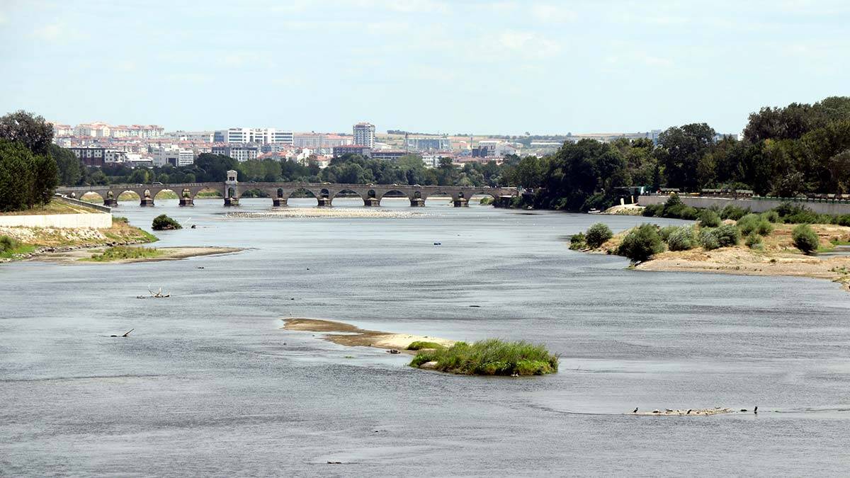 Nehir debileri düştü Tunca'yı yosunlar kapladı