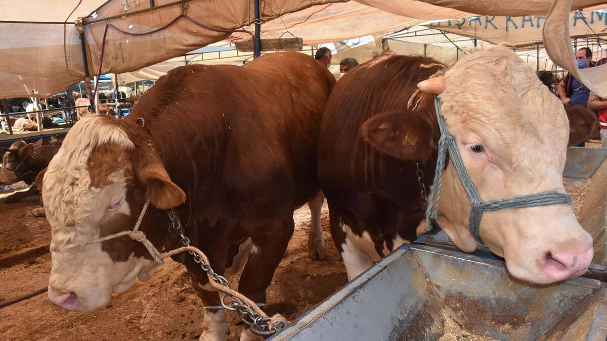 Kırmızı eti sebzeyle tüketin