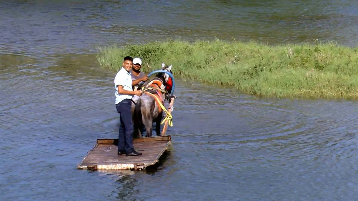 Yük taşımada kullandıkları atı serinlettiler