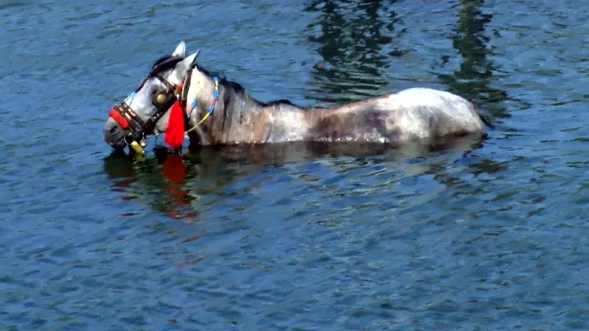 Yük taşımada kullandıkları atı serinlettiler