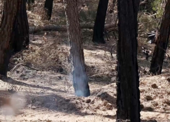 10 gün süren yangında hala duman tütüyor