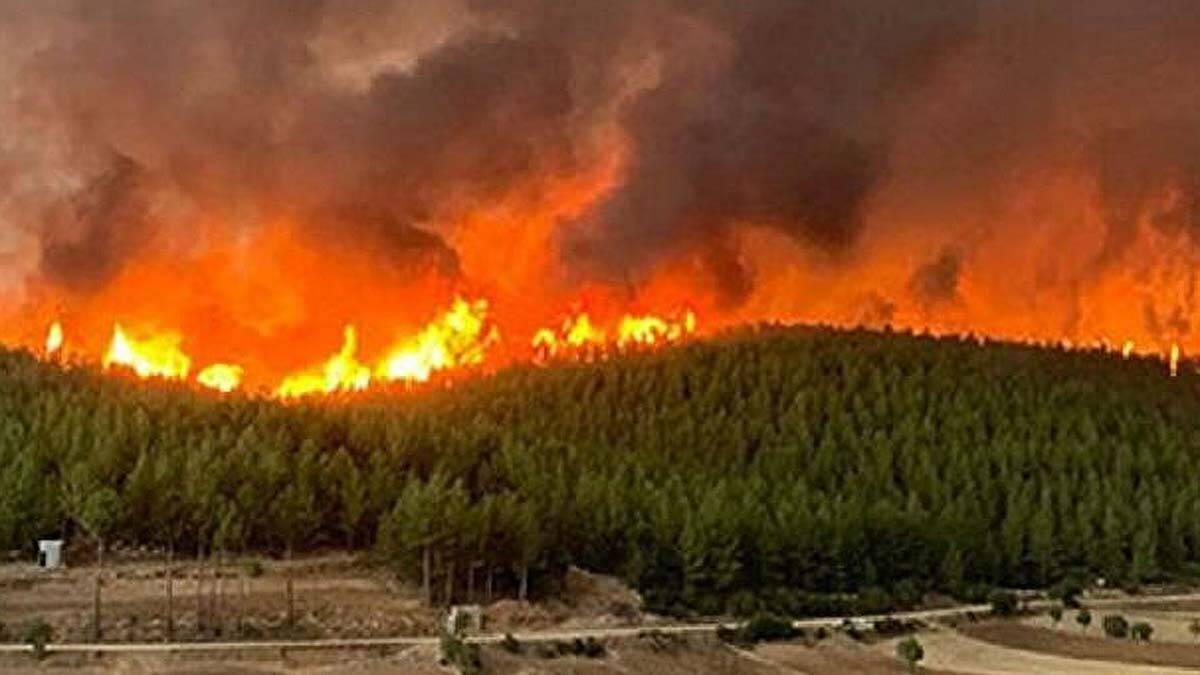 Yangınla savaşan dev gladyatörler