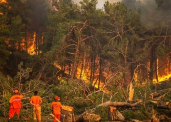 Yangınla savaşan dev gladyatörler