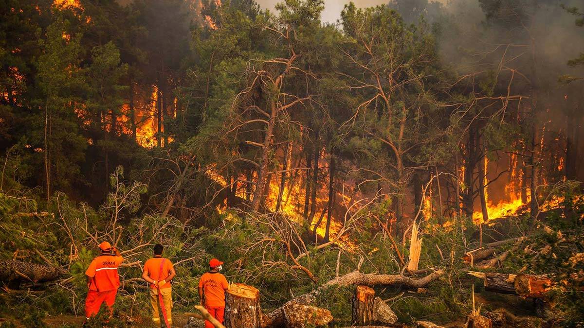 Yangınla savaşan dev gladyatörler