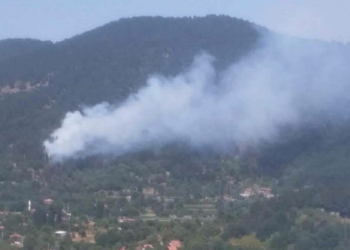 225 orman yangınından 220'si kontrol altında